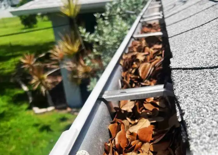 Smyrna gutter cleaning home page